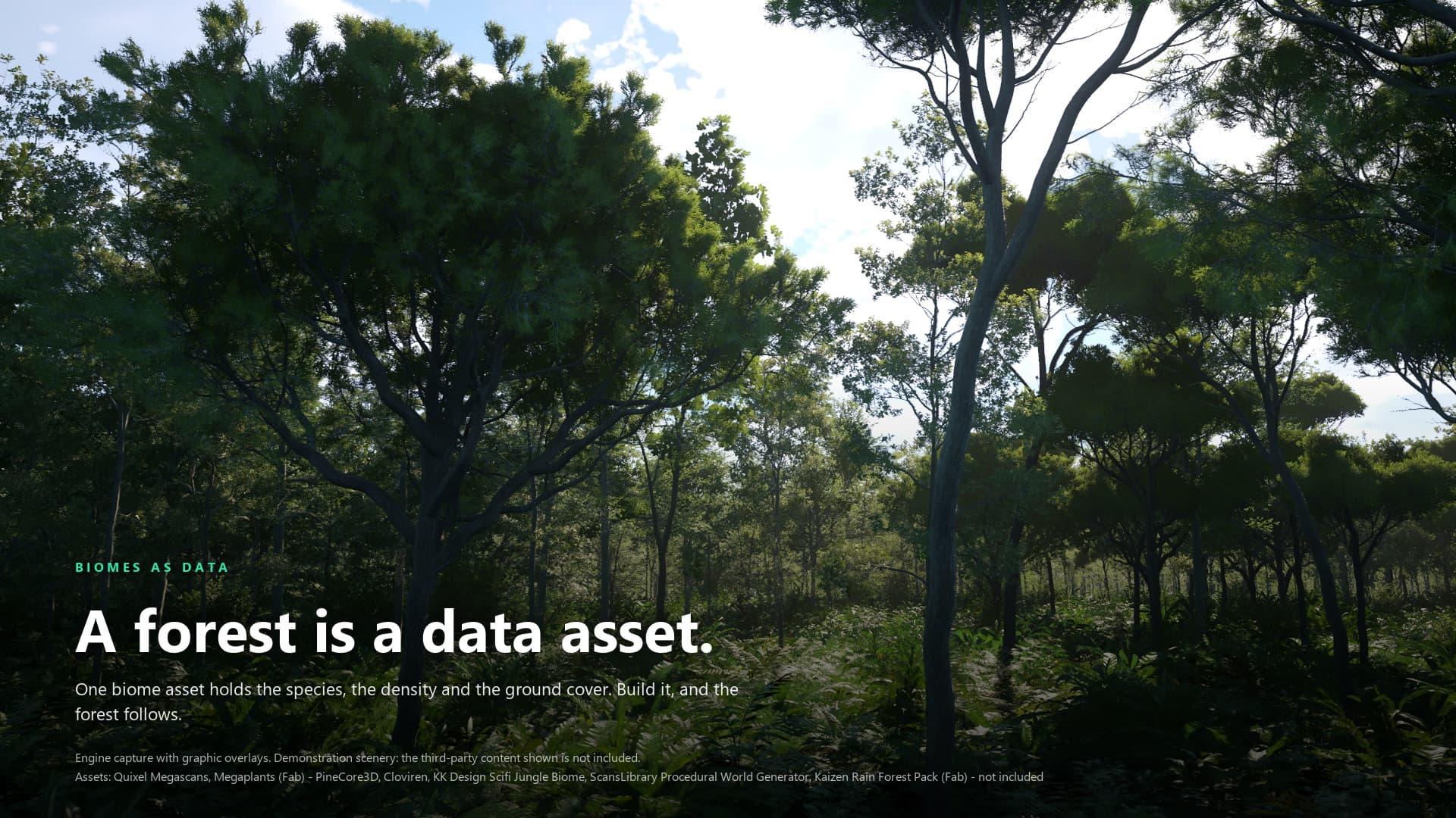 A forest generated from a biome asset