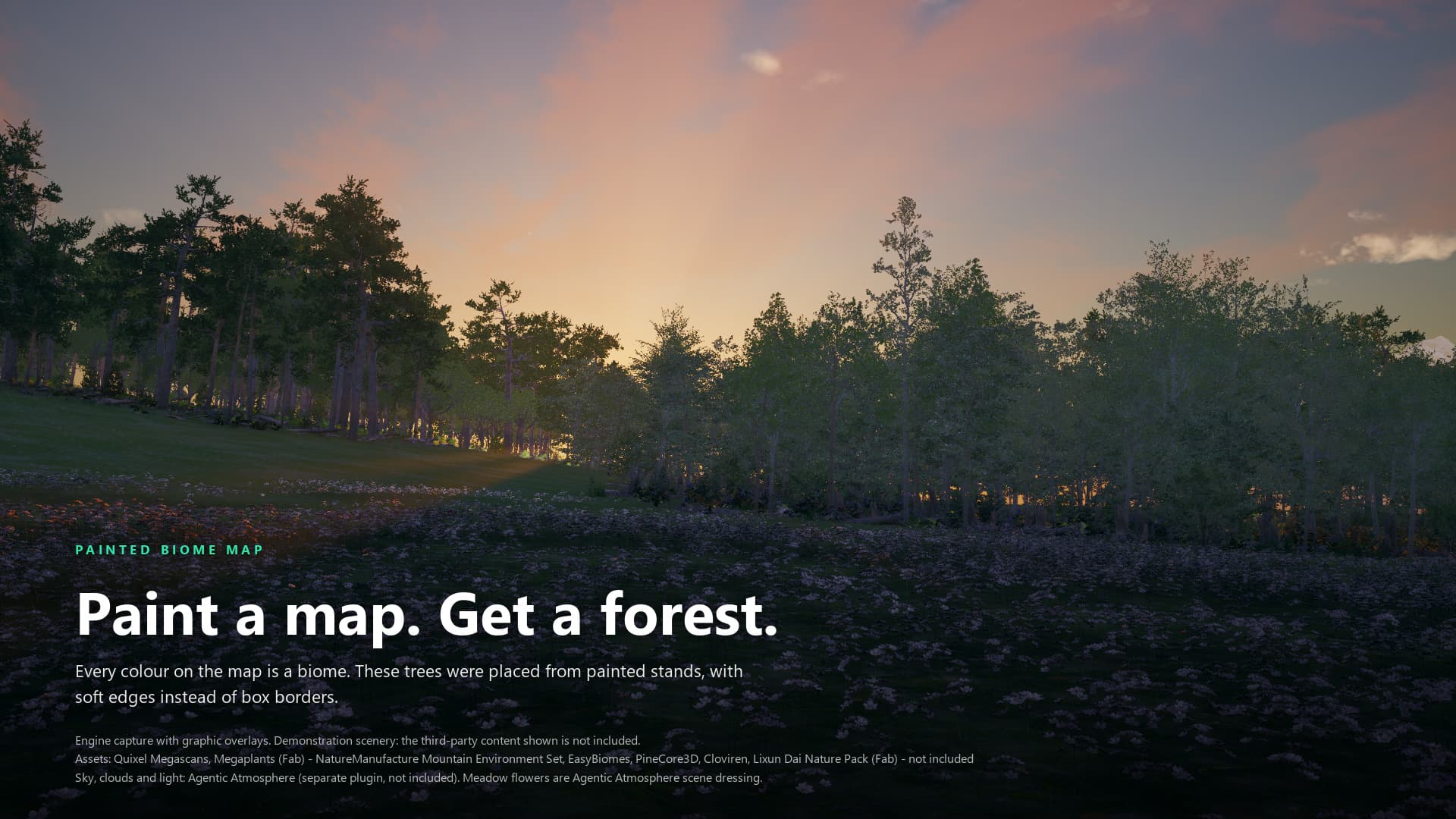 Sunset view across a flower meadow toward conifer and broadleaf trees, with the overlay text Paint a map. Get a forest.