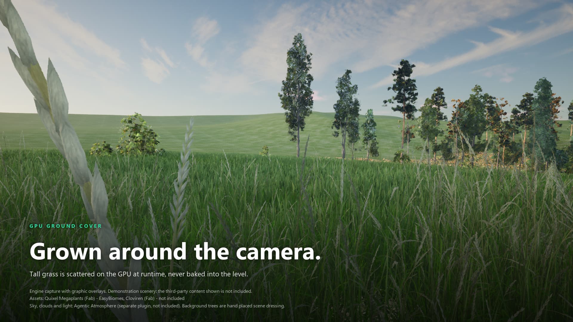 Ground cover generating around the camera